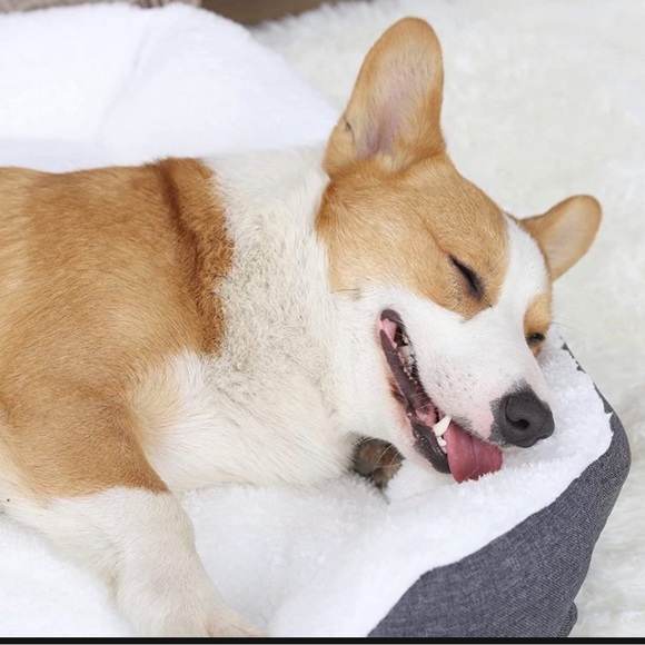 JOHNPEY Dog Beds for Large Dogs Up to 75 lbs, Comfortable and Fluffy - Picture 4 of 7